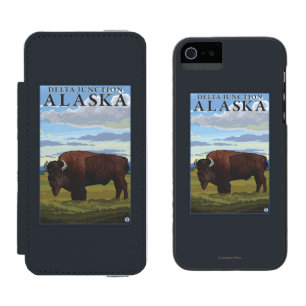Bisonplats - deltaföreningspunkt, Alaska