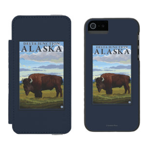 Bisonplats - deltaföreningspunkt, Alaska