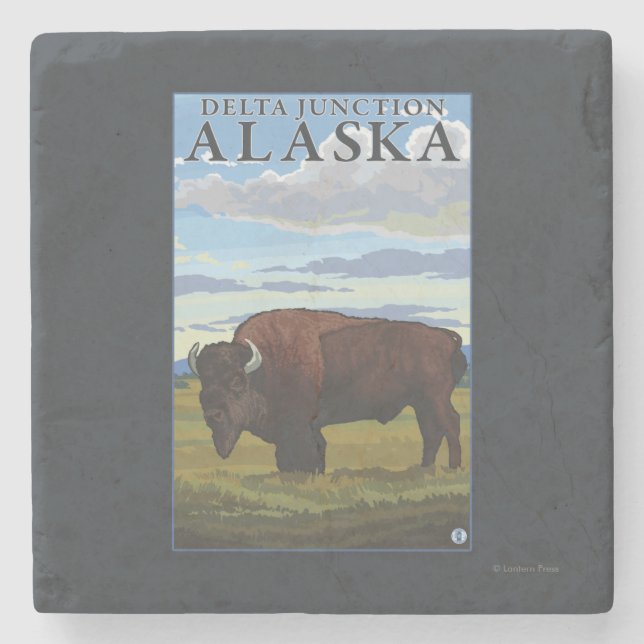 Bisonplats - deltaföreningspunkt, Alaska Stenunderlägg (Framsidan)