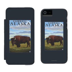Bisonplats - Fairwell, Alaska