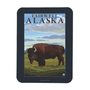 Bisonplats - Fairwell, Alaska Magnet
