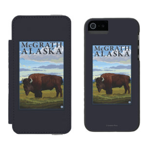 Bisonplats - McGrath, Alaska