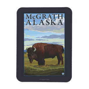 Bisonplats - McGrath, Alaska Magnet