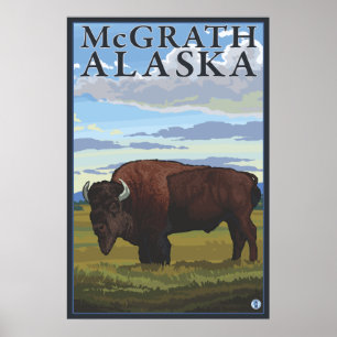 Bisonplats - McGrath, Alaska Poster