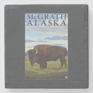 Bisonplats - McGrath, Alaska Underlägg Sten