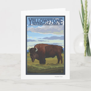 Bisonplats - Yellowstone nationalpark Kort