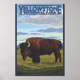 Bisonplats - Yellowstone nationalpark Poster