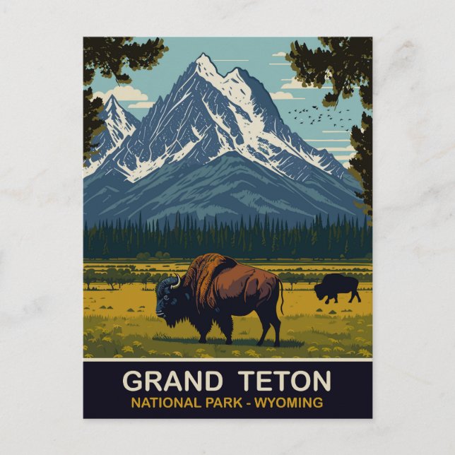 Bisons, Grand Teton Natural Park, Wyoming, Travel Vykort (Framsida)
