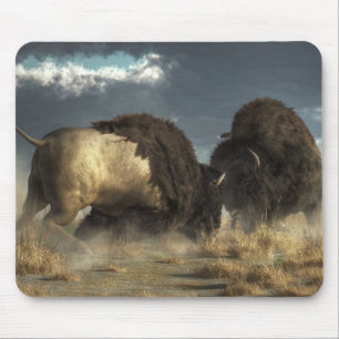 Bisonslagsmål Musmatta