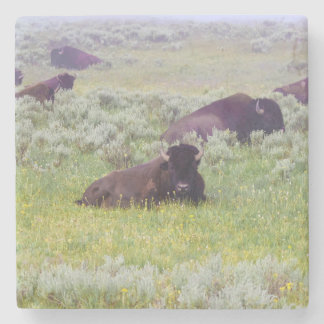 Bisonstöd Stenunderlägg