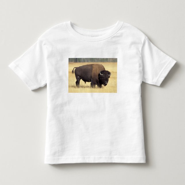 Bisonstut i Yellowstone National Tee (Framsida)