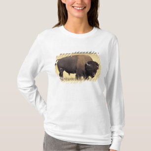 Bisonstut i Yellowstone National Tröja