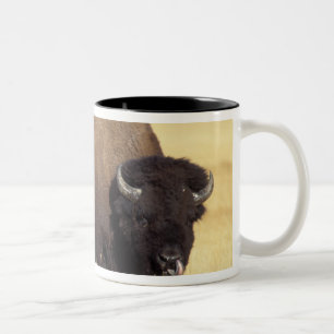 Bisonstut i Yellowstone National Två-Tonad Mugg