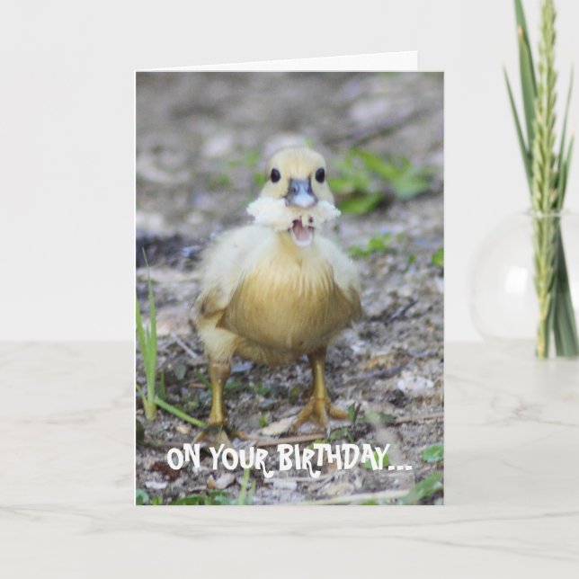 Bita av mer än vad du kan tugga kort (Framsida)