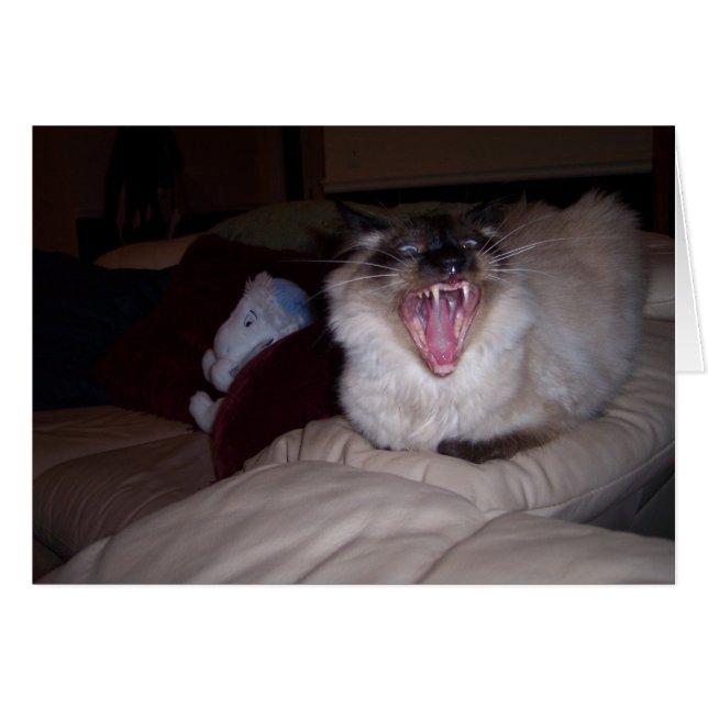 Bita MIG! Hälsningskort (Framsidan Horizontal)