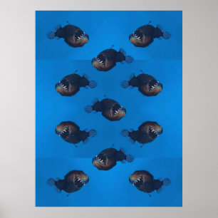 Bita mig poster