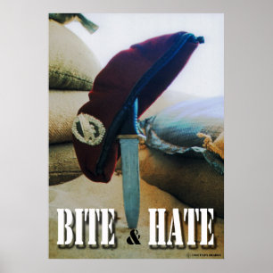 Bita och hastighet poster
