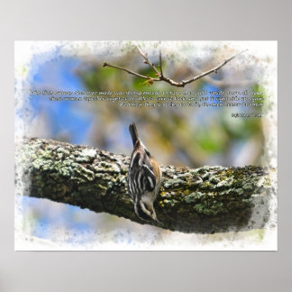 Bitd i träd Soournner Truth-citat Poster