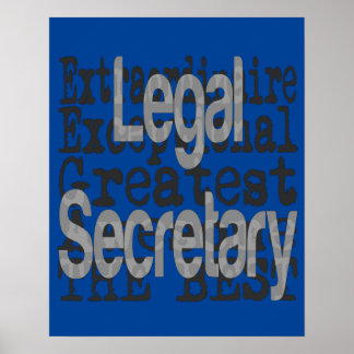 Biträdande sekreterare poster