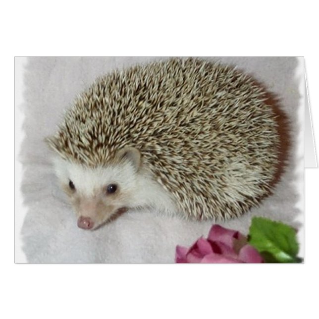 Bitsy the Hedgehog Hälsningskort (Framsidan Horizontal)
