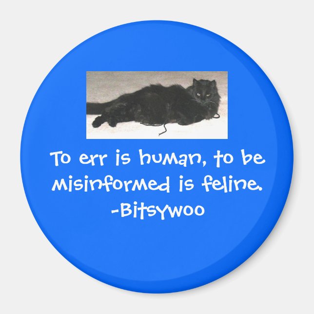 Bitsywoo Core Philosophy Magnet (Framsidan)