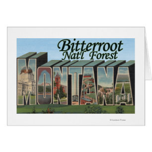 Bitterroot Nat'l Forest, Montana Hälsningskort