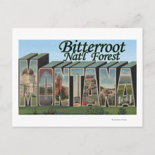 Bitterroot Nat'l Forest, Montana Vykort