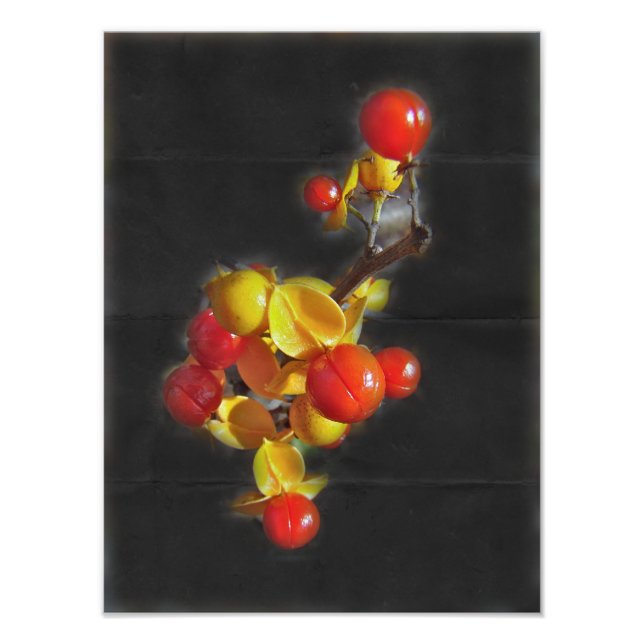 Bittersöta Berries - Autumn Beauty Fototryck (Framsidan)