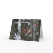 Bittersött vinterkort, Helgdag