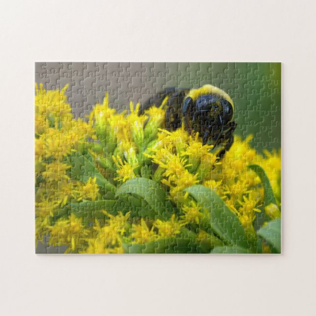 Biv på gula blommor Naturpussel Pussel (Horisontell)