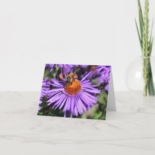 Biv på lila asterblomma fotografering anteckningskort