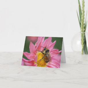 Biv på rosa tusenskönablomma Fotografering Noterin Kort