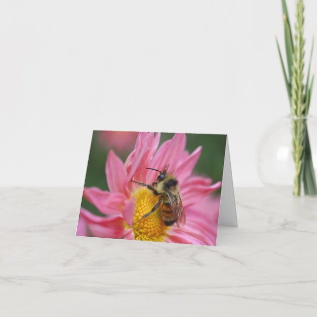 Biv på rosa tusenskönablomma Fotografering Noterin Kort (Framsida)