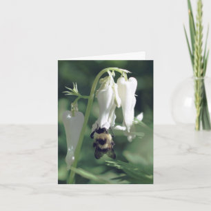 Biv på vit akvarieblomma Fotografering Anteckningskort