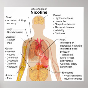 Biverkningar av nikotin på humant kroppsdiagram poster