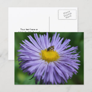 Bivete på lila tusenskönsblomma fotografering vykort