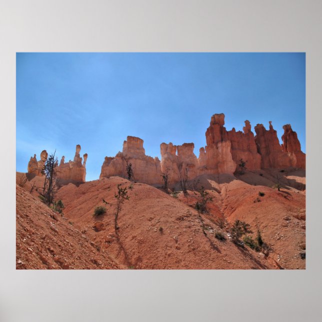 Bizarre Bryce Canyon Poster (Framsidan)