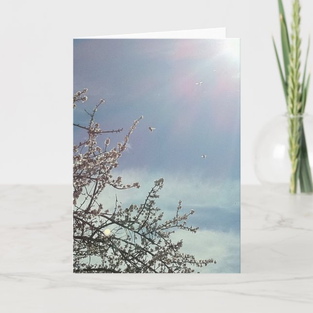 Bizzy Beezzz Kort (Framsida)