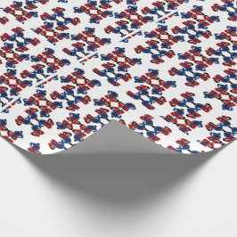 BJJ Leg Lock Presentpapper