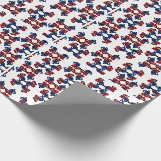 BJJ Leg Lock Presentpapper