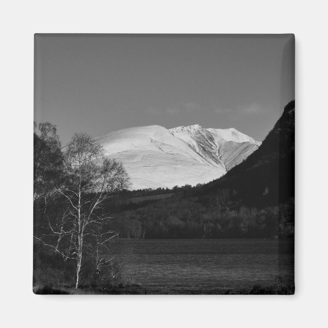 Björk och Blencathra Magnet (Framsidan)
