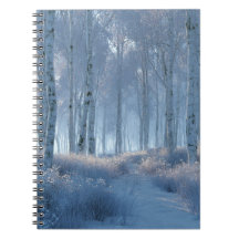 Björk Strålande Snöskog 
