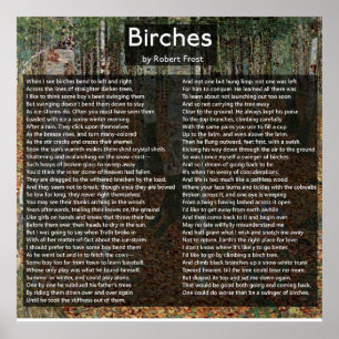 Björkar av Robert Frost avslutar dikt/Birkenwald Poster