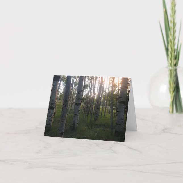 Björkar i morgonen kort (Framsida)