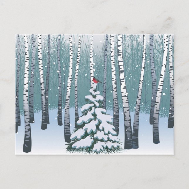 Björkar i vinter skogen vykort (Framsida)