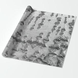 Björkbarksmönster Presentpapper