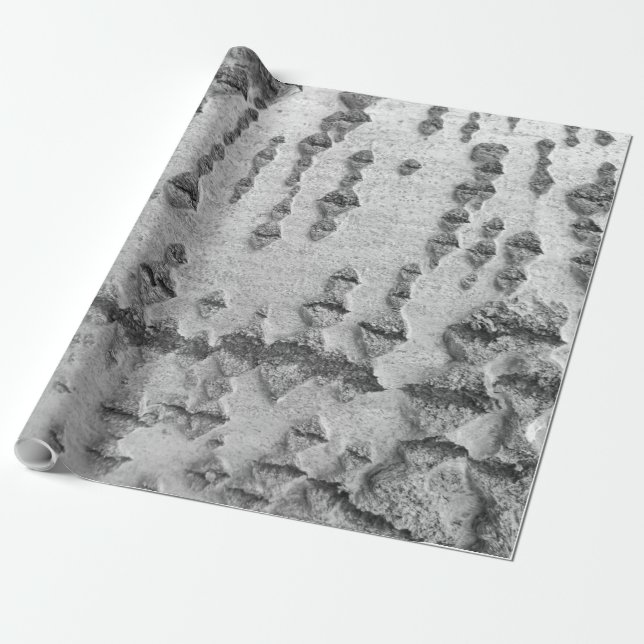 Björkbarksmönster Presentpapper (Utrullad)