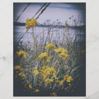 björkbukt blommor skrapbok papper ark