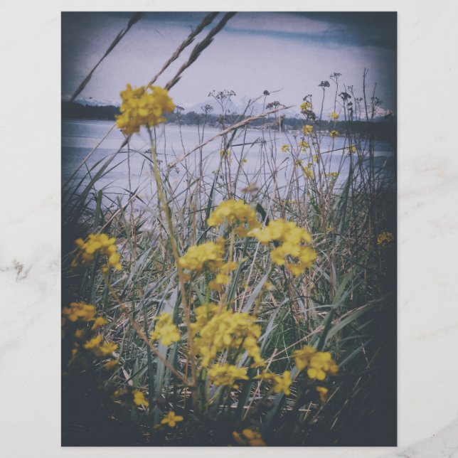 björkbukt blommor skrapbok papper ark (Framsida)