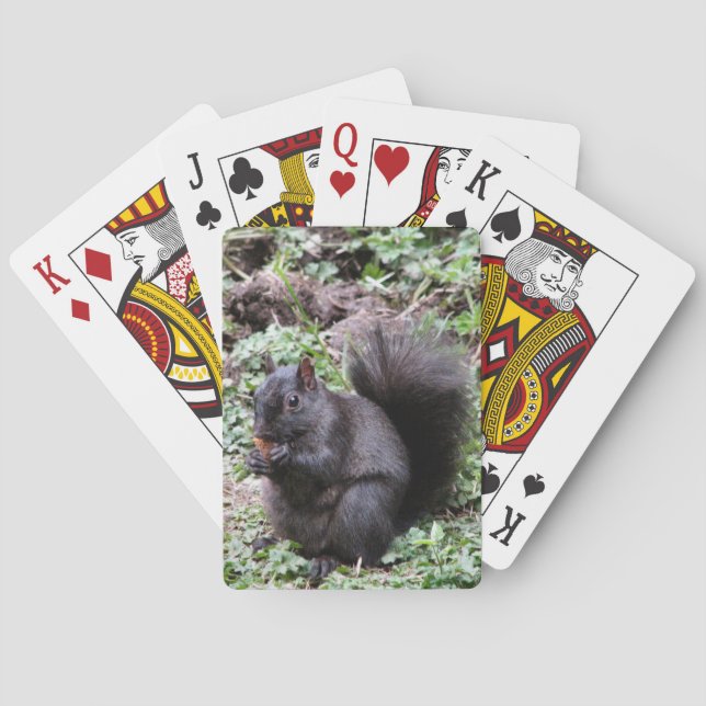 BJÖRKFJÄRDEKORRE CASINOKORT (Baksidan)